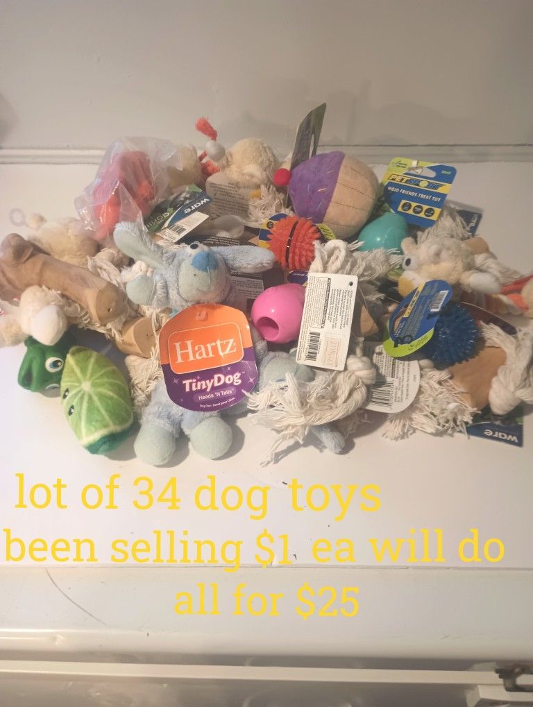 Lot Of 34 Dog Toys