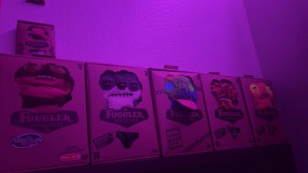 Fuggler Lot