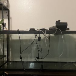 Fish Tank