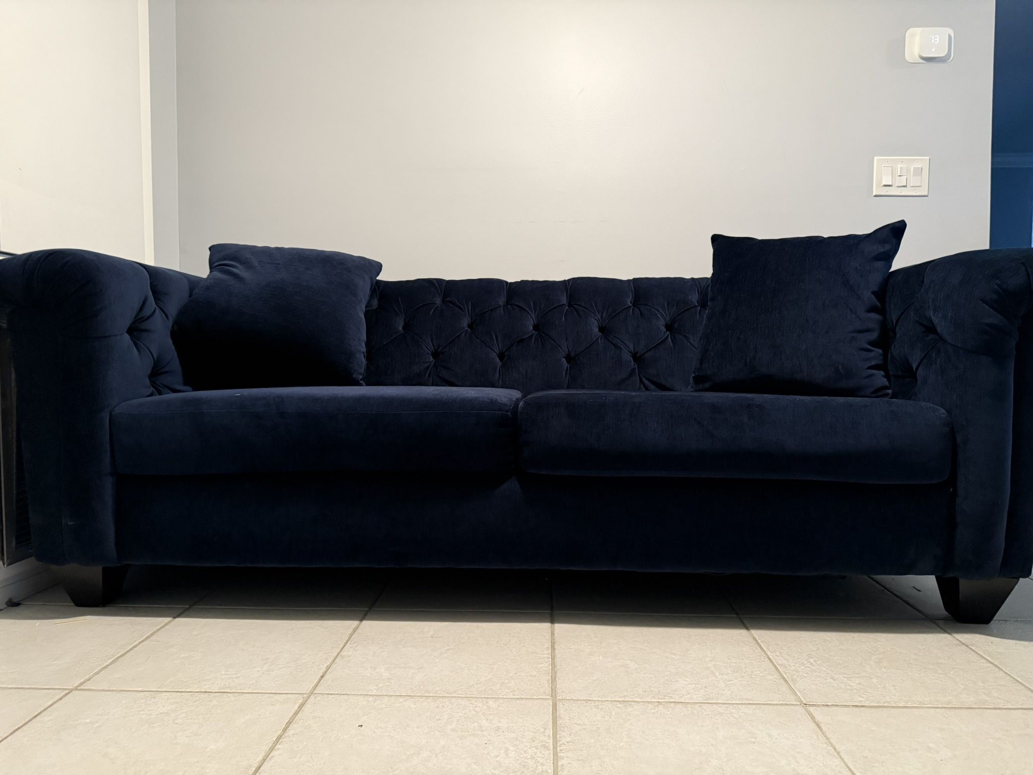Blue Velvet Couch & Love Seat 