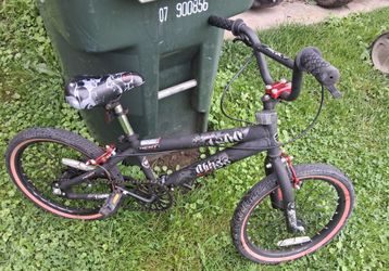 Kids bike. Wood flute