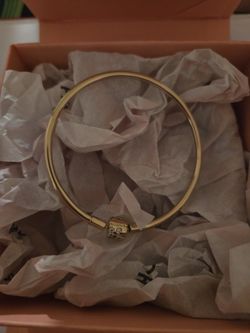 New Never Used Pandora Bracelet 