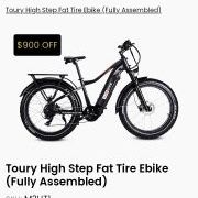 Rad Electric Bike