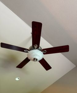 Beautiful Ceiling Fan