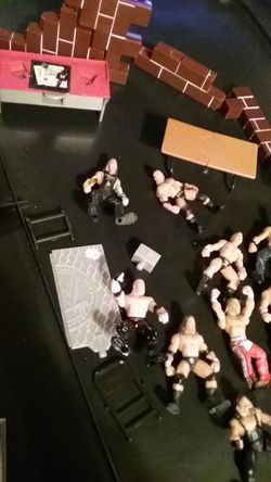 Mini wrestlers