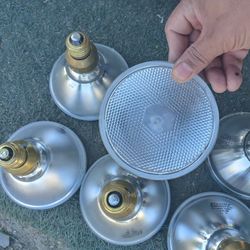 Flood Lamps 12v 60w