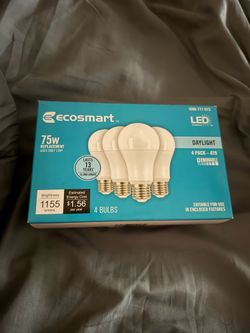 Light bulbs
