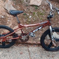 2000 GT PRO PERFORMER