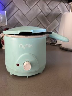 BOTH Mini Air Fryer and Deep Fryer