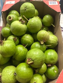 Fresh guavas