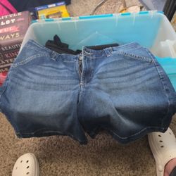 Woman's Lee