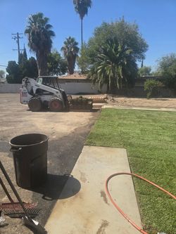 Grass