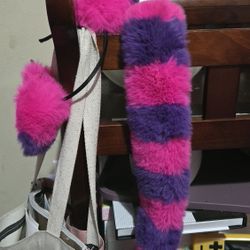 Cat Ears And TAIL