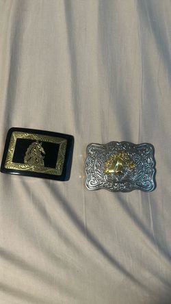 Horse belt, buckles