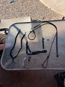 dog leash lot