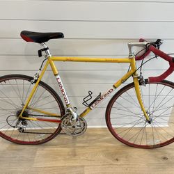 Lemond Buenos Aires 1999 bike 