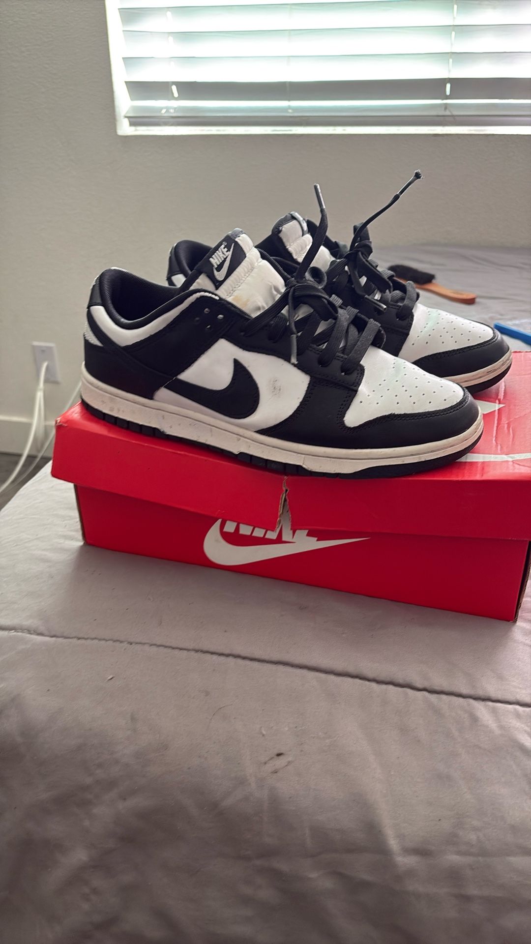 Nike Dunks