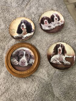 Danbury Mint Collectors Plates