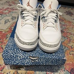 Jordan 3 "Wizards" SZ12 ($80 Today)