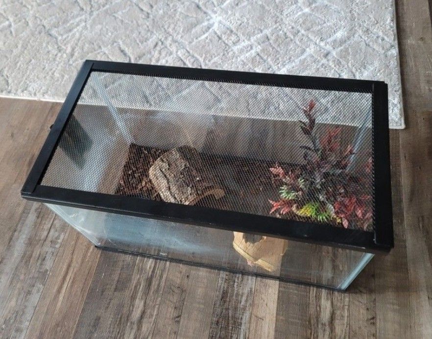 Reptiles/ Tortoises Terrarium With Accessories