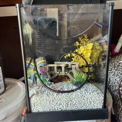 Small Fish Tank 