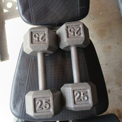 Weights Metal 2.25