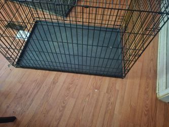X large dog crate