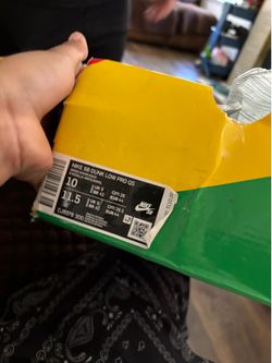 Nike sb size 10