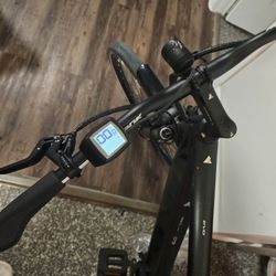 Electric Bike