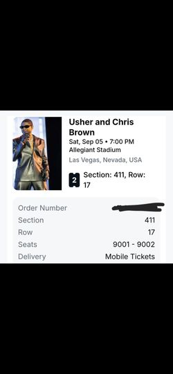 Chris Brown/ Usher Concert in Vegas