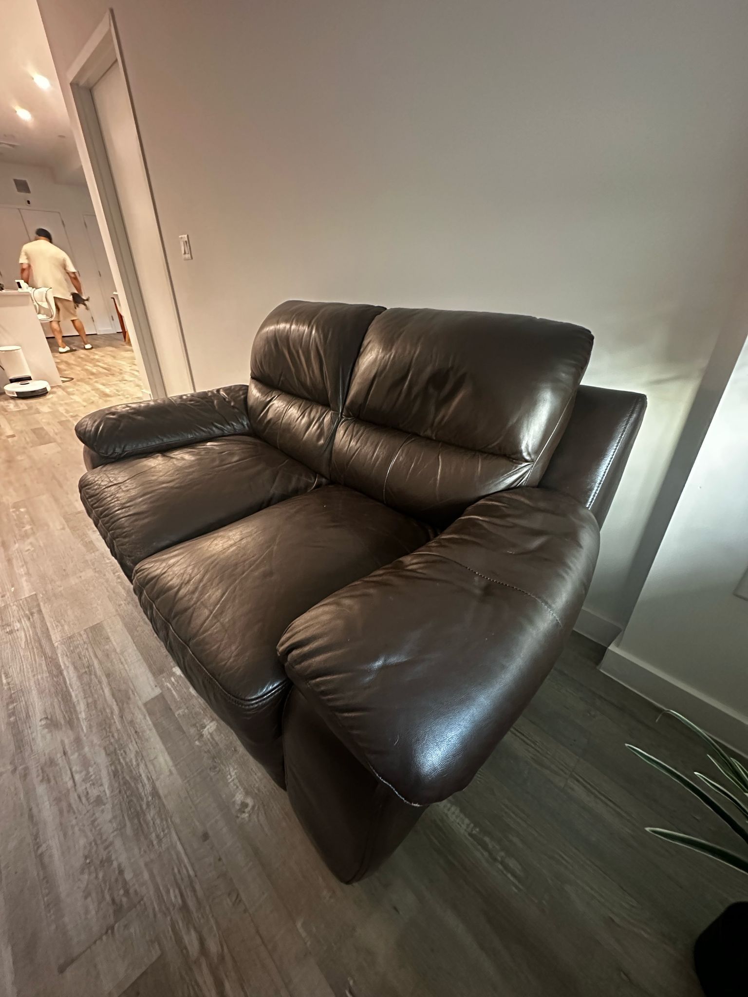 Leather Couch