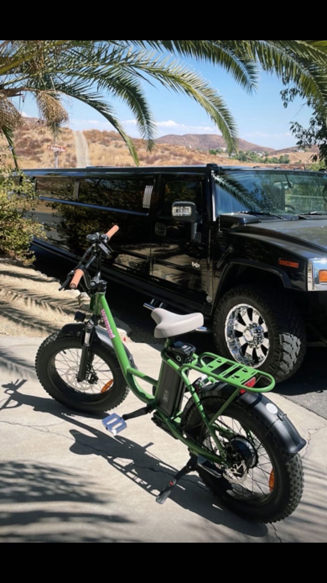 Freego Fat Tire Electric Bike