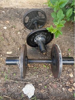 25 pound dumbbells