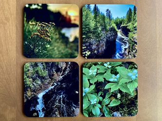 North Shore Coasters 