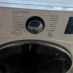Electric Dryer 