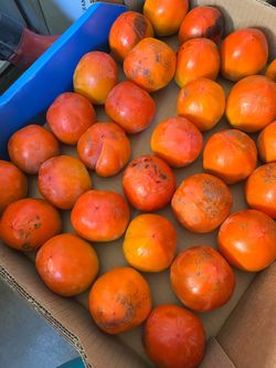 Fruit ready to eat ripe now available have 40 pieces available 2 for $1
