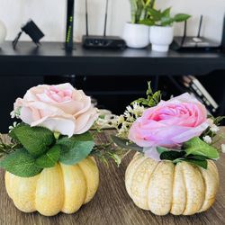 Pumkin Of Floral Arrangements 