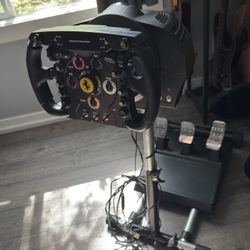 Thrustmaster TX Sim Racing Starter Set - PC and Xbox compatible 