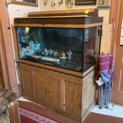 Fish Tank 110 Gallons