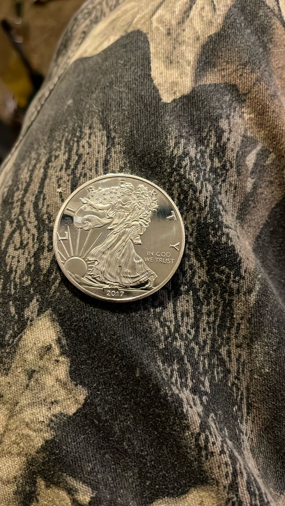 1 Oz Silver Eagle
