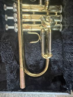 Jupiter Trumpet 