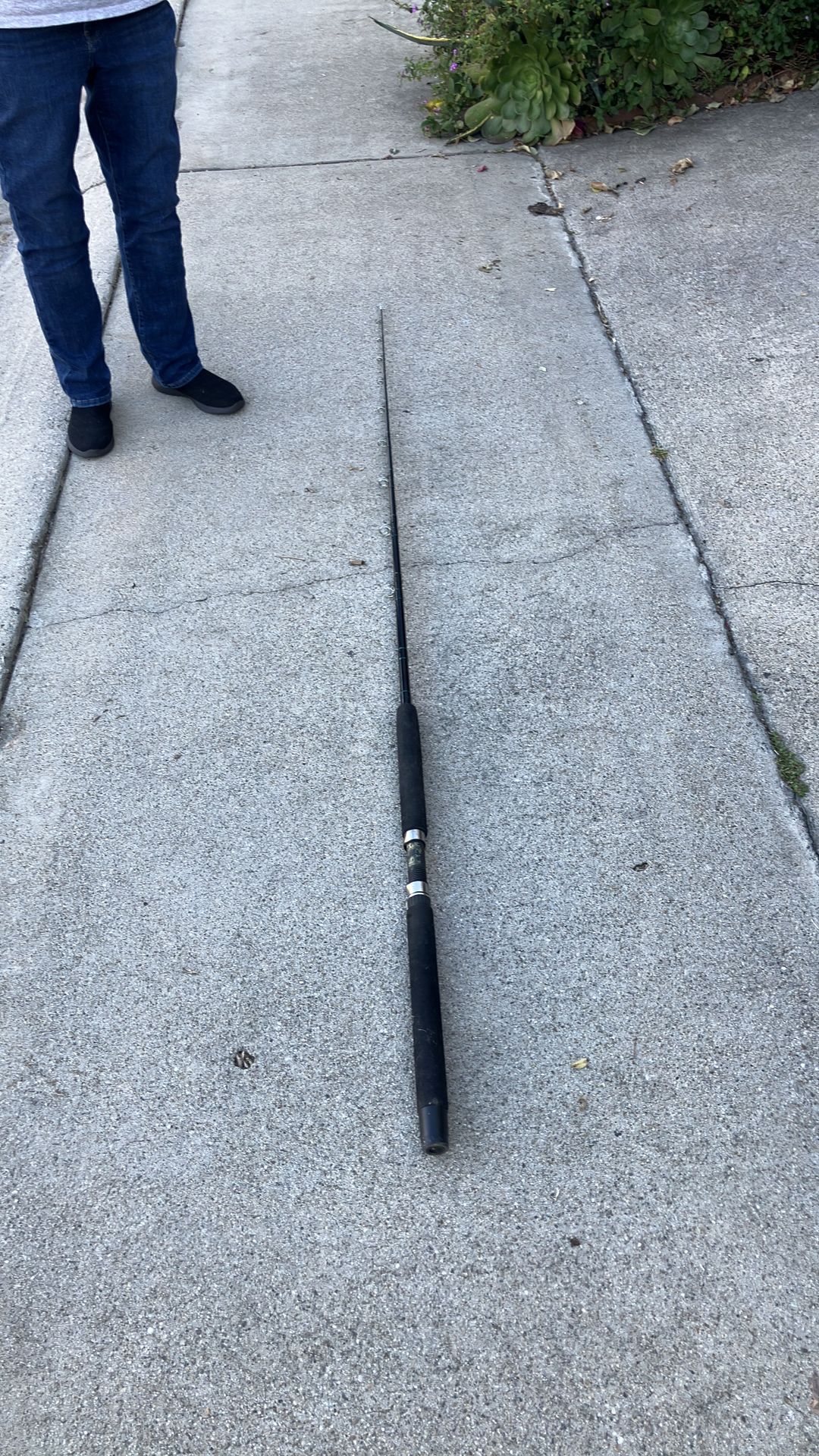 Californian fishing rod