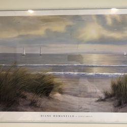 Beach Framed Picture by Dianne Romanello