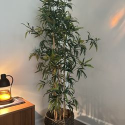 Faux Bamboo Plant With Basket