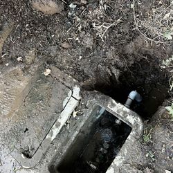 PR Valve Replacement