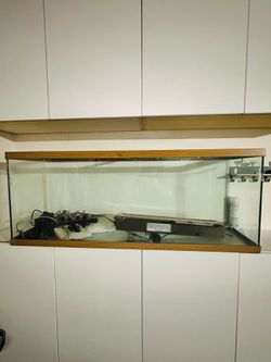 Fish Tank