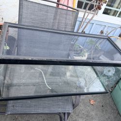 40 Gallon Terrarium