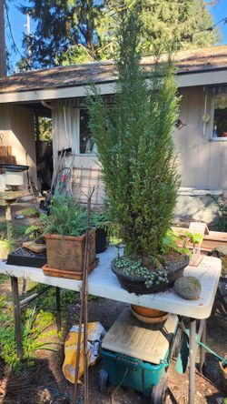 Huge Indoor Outdoor Sale