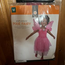 Child Pixie Fairy Costume 