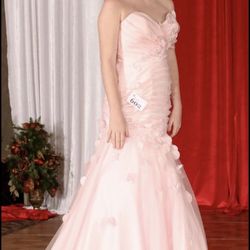 Blush Pink Gown